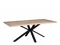 200CM SPIDER LEG DINING TABLE IN GREY OILED FINISH