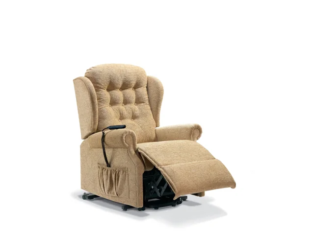 STD. 2-MOTOR LIFT RECLINER