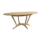 OVAL EXTENDING DINING TABLE