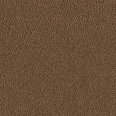 touch_7-brown.jpg